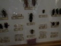 Tn 0898 DSC00072